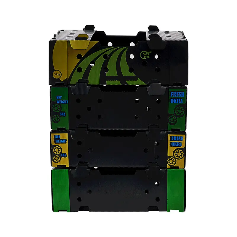 Corrugated Plastic Boxes for Fruits and Vegetables packing