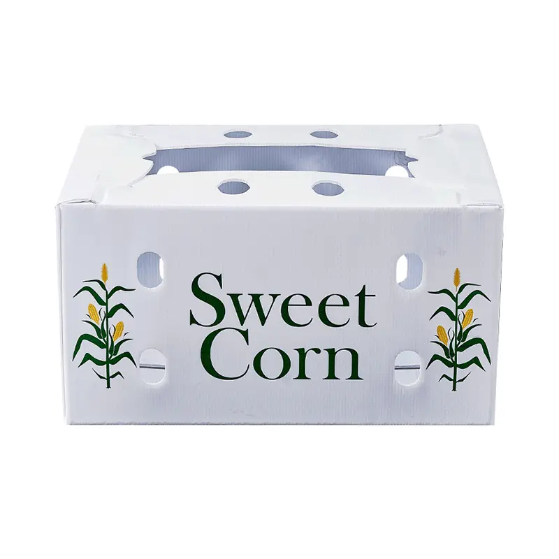 Corrugated Plastic Boxes for Fruits and Vegetables packing