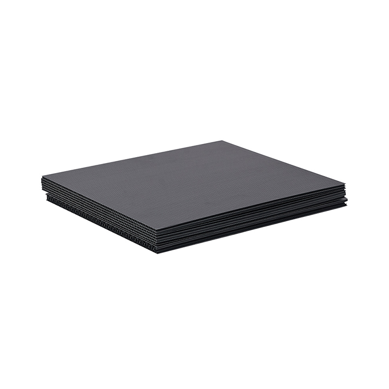 Waterproof PP Corfluted Correx Corrugated Hollow Sheets/Boards