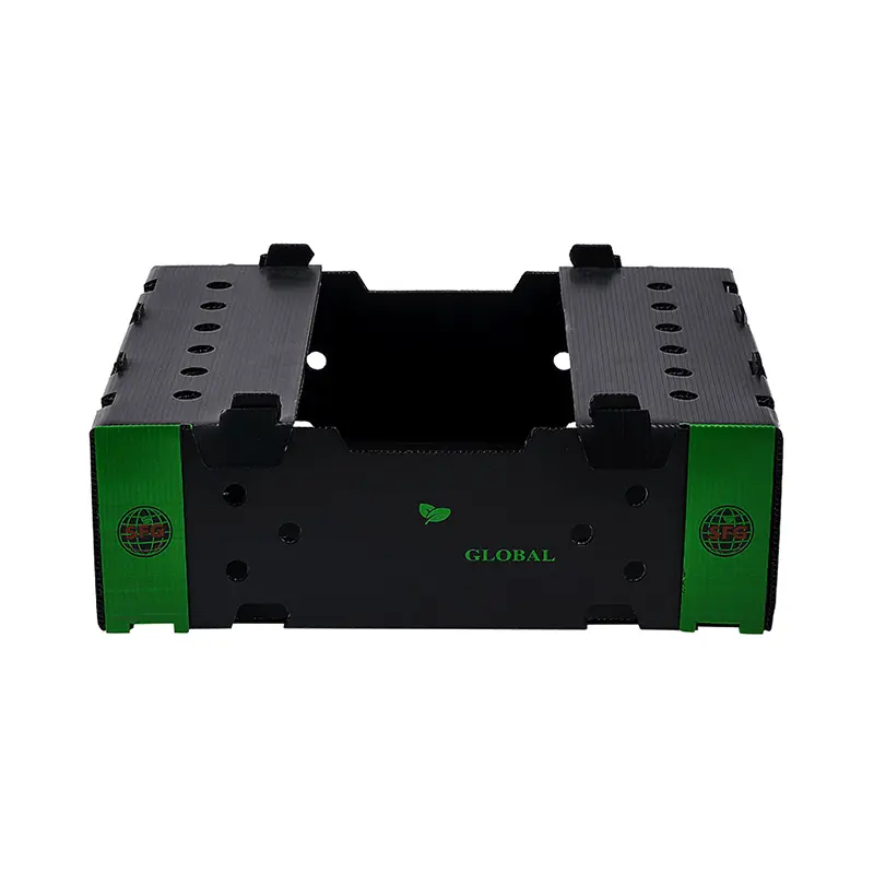 Corrugated Plastic Boxes for Fruits and Vegetables packing
