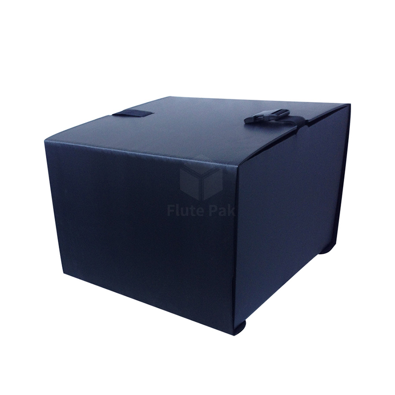Hot Selling Correx PP Corrugated Pizza Boxes