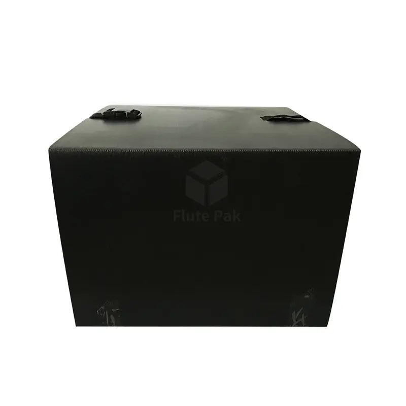 Hot Selling Correx PP Corrugated Pizza Boxes