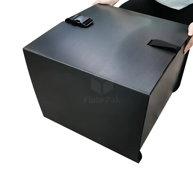 Hot Selling Correx PP Corrugated Pizza Boxes