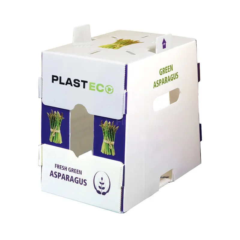 Corrugated Plastic Boxes for Fruits and Vegetables packing