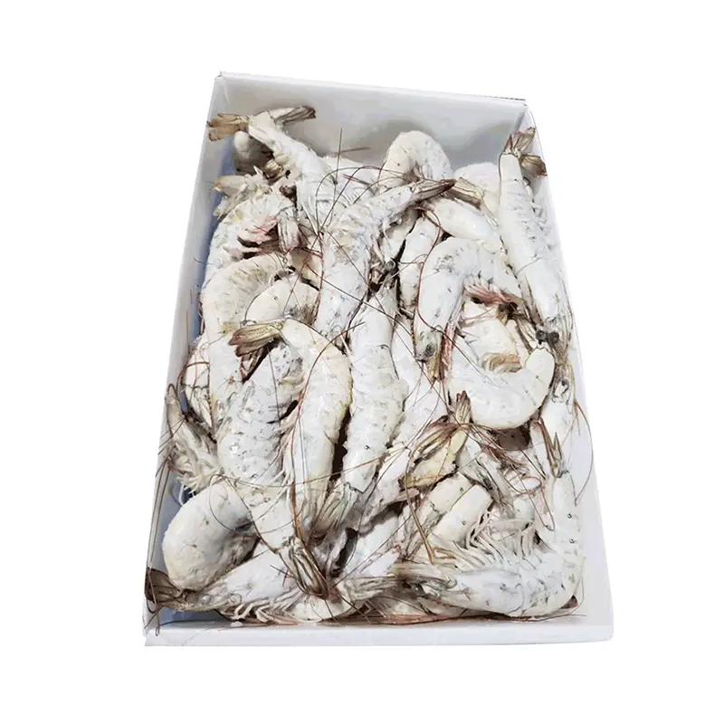 Durable Customized Corrugated Plastic Seafood Boxes