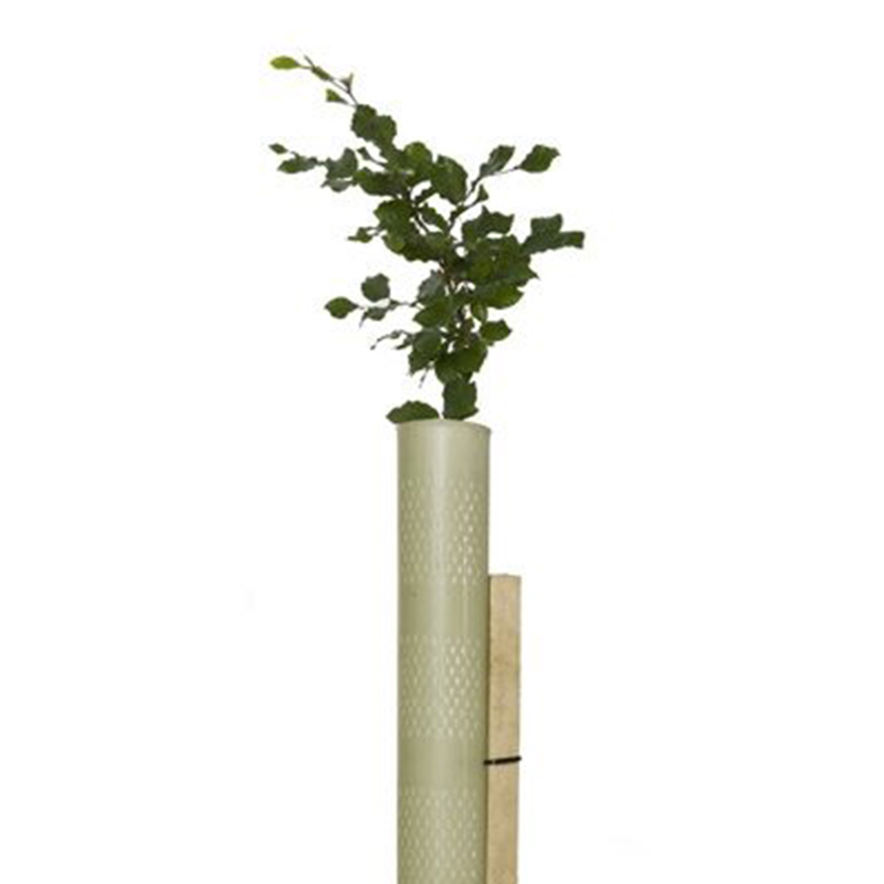 tree-guard-(7)