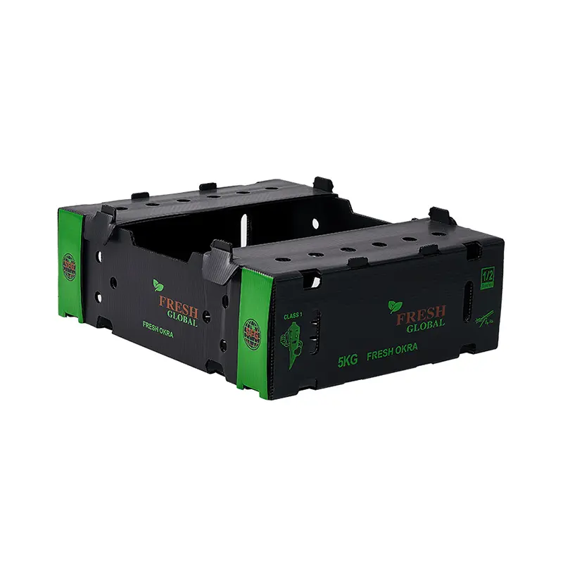 Corrugated Plastic Boxes for Fruits and Vegetables packing